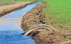 Gestion et maintenance des installations hydro-agricoles dans l’Anambé: Vers la création de deux fonds