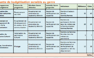 Bilan Genre du Ministère de la Culture et de la Communication: La Covid impacte les activités, des contraintes et de nombreux défis notés