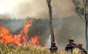 Matam / Dans la zone sylvo-pastorale, un feu de brousse avait vidé les bureaux de vote