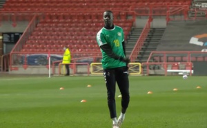 Pape Bouba Diop, un lion éternel: Après Bamba Dieng, Famara Diédhiou lui rend hommage