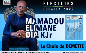 Commune de Démette : Mamadou Elimane Dia bat largement le candidat de Bby 