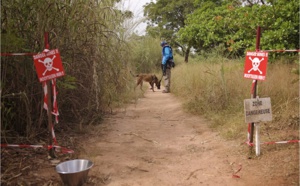 Casamance : «L’impossible» retour des populations déplacées des villages sécurisés par l’armée à Nyassia