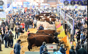 Salon international de l’Agriculture de Paris : Une présence timide du Sénégal, constatée
