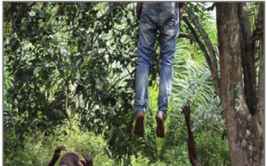 Drame à Bambey: A. Faye, âgé de 66 ans, s’est pendu à un arbre