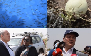 Mbodjène: La Fondation Veolia booste l'Aquaculture, avec l'installation de nouveaux bassins