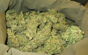 Après un vol de leur yamba: Des dealers tuent un trafiquant à Ngaparou