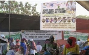 Promotion de l’agro-écologie en Afrique de l’Ouest : Djimini ou le refus d’un néocolonialisme par le biais de la semence