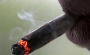 Pourquoi a-t-on si faim après avoir fumé un joint?