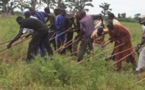 Mécanisation agricole Locafrique et la Saed signent une convention portant sur 7 milliards