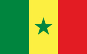 Quels enseignements tirer de cette cohésion autour des "Lions" du Sénégal ?