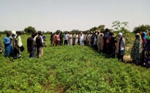 Zones Nord et Centre : Un programme d’amélioration de la connectivité des zones agricoles, bientôt lancé
