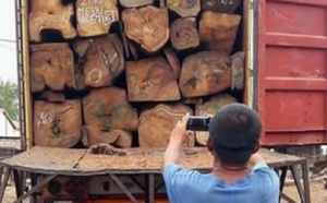 Lutte contre la coupe de bois : Les conseils de l’ex-patron du Forum civil de Kolda