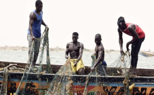 Le poisson presque introuvable : Les pêcheurs inquiets