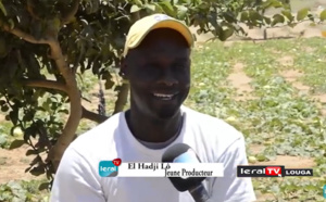 Louga / Réinsertion des immigrés: El Hadji Lô montre la voie dans l'agriculture et interpelle l'Etat