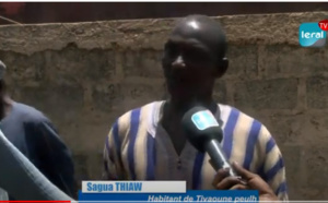 Tivaouane Peulh-Niaga/ Sans « Daaral » : Les éleveurs de moutons, disposés à ravitailler le marché communal, crient leur ras-le-bol