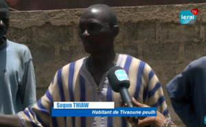 Tivaouane Peulh-Niaga sans « Daaral » : Les éleveurs de moutons crient leur ras-le-bol