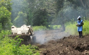 Déminage en Casamance : Questions sur la capacité du Cnams