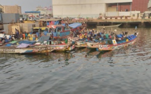 Guinée Conakry : 200 pêcheurs arrêtés, le ministre Alioune Ndoye sollicité pour un rapatriement