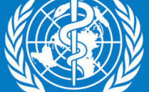 Célébration de la Journée mondiale de la santé: l'Oms met l'accent sur les maladies à transmission vectorielle