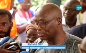 Journée mondiale du Lait : Le Sénégal loin des 700 millions de litres nécessaires pour sa consommation annuelle