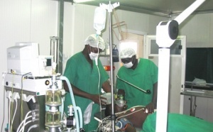 Virus Ebola : L'Oms organise des sessions de formation en Guinée