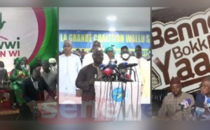 À rebrousse-poil : Nuisance sonore politique (Par Adama Ndiaye)