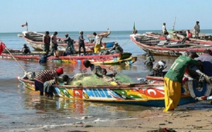Journée mondiale des Océans : Le chapelet de doléances des pêcheurs artisanaux de Joal