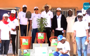 JME : Dangote plante 350 arbres et sensibilise sur l'importance du reboisement