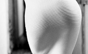 Une histoire de fesses entre une secrétaire et un haut cadre