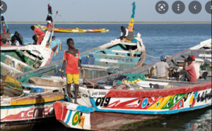 Fatick : L’Etat invité à doter le débarcadère de Djiffer, d’un quai de pêche aux normes