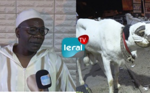 Mermoz: les Thiantacones offrent des moutons à Serigne Saliou Thioune qui va...