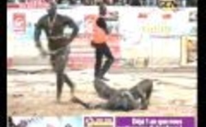 Victoire de Pakala sur Niagass