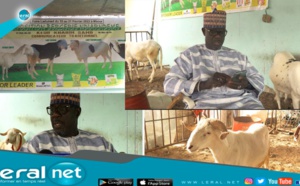 Khadim Samb: "Pourquoi au Sénégal, les moutons se font rares er coûtent cher..."