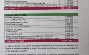 Elections locales 2022 : La coalition "Yewwi Askan Wi" a dépensé plus de 244 millions de francs Cfa