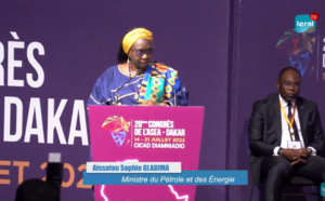 Electricité / L'Afrique en rade : Les 9 axes stratégiques que veut dégager Mme Sophie Gladima