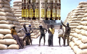 Secteur agroalimentaire et industriel : Grogne des huiliers de Touba