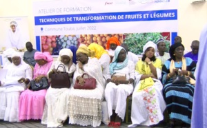 Touba : 1000 femmes récipiendaires formées par ONU-FEMMES