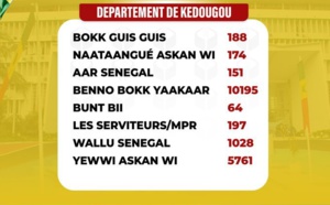Législatives: LES RÉSULTATS DANS LES 46 DÉPARTEMENTS ET DANS LA DIASPORA