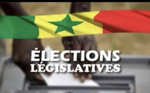 Législatives : Des observateurs évoquent un déroulement normal du vote