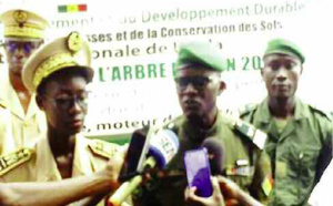 Mamadou Goudiaby, IREF de Kolda : «Le feu de brousse est l’ennemi numéro un de la forêt»