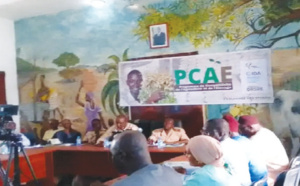 Kaolack-programme de compétitivité de l’agriculture et de l’élevage: De nouveaux entrepôts de conservation de la qualité mis en place