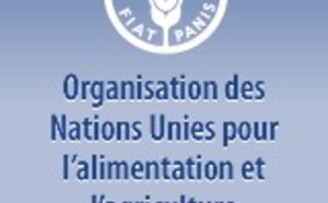 Audio - Insécurité alimentaire : La Fao vole au secours de 14 familles à Sédhiou et Goudomp