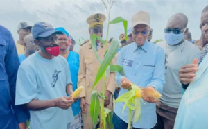 Développement de l’agriculture: Moussa Baldé annonce la construction de 1000 nouvelles fermes agricoles