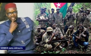 Vidéo - Contribution : Ousmane Sonko, le bras armé du MFDC ( Cheikh Ndiaye )
