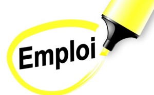Leral/Job: Un jeune infographiste cherche emploi