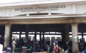 Marché central au poisson de Kaolack : Les mareyeurs observent 72 heures de grève à partir de ce mercredi