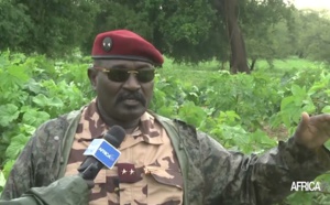 Tchad : le génie militaire met ses ingénieurs, soldats et matériel au profit des agriculteurs