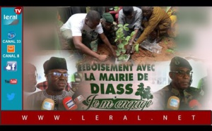 Diass Commune verte / Démarrage campagne de reboisement: 1150 plants répartis dans 17 villages