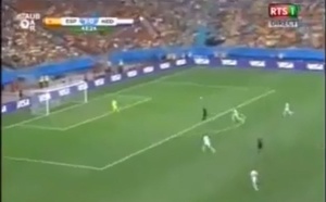 Mondial 2014: Le but de l'égalisation des Pays Bas face