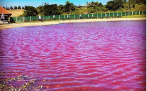 Niague / Trop-plein d’eau au Lac Rose : Hôtels et boutiques d’art impactés par le débordement